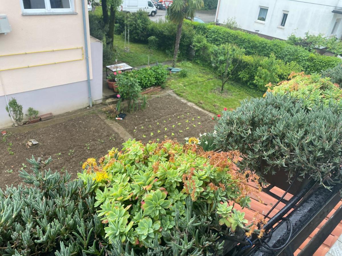 Apartma Magnolija Nova Gorica Zewnętrze zdjęcie